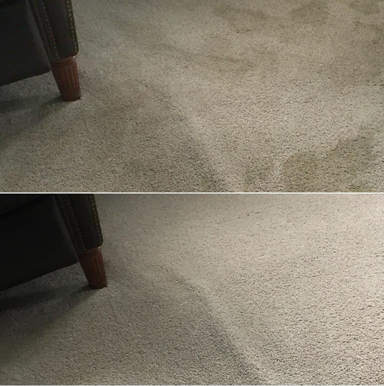 Carpet Cleaning Before After